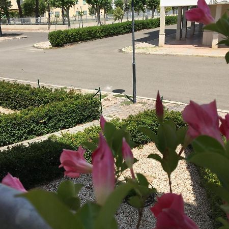 Pensione Afrodite Metaponto Esterno foto