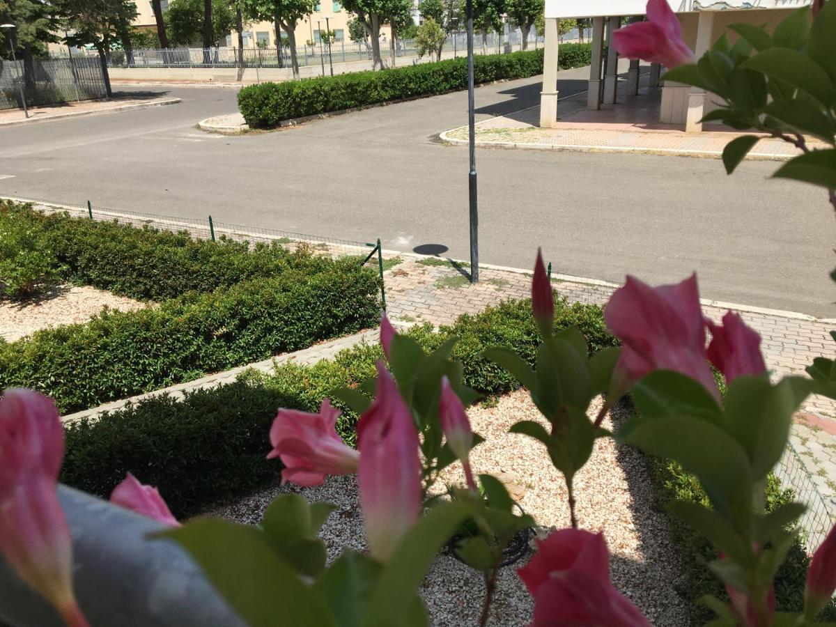 Pensione Afrodite Metaponto Esterno foto
